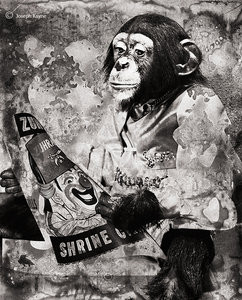 Evolution V