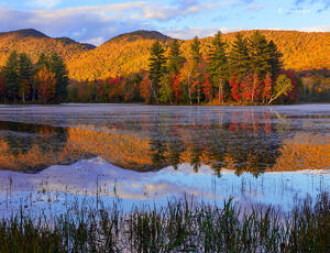 Vermont Pond, Autumn