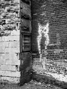 Owl Graffiti