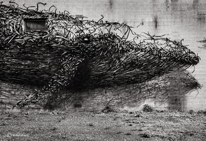 Whale Art