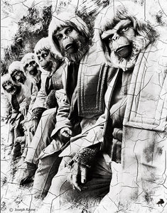 Evolution III