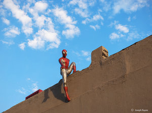 Your Friendly Neighborhood Spiderman