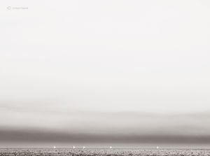 The Great Lake X
