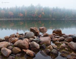Foggy Autumn Pond
