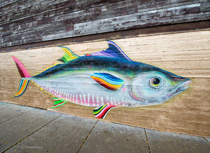 Fish
