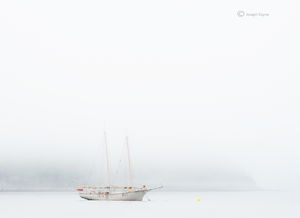 Foggy Maine
