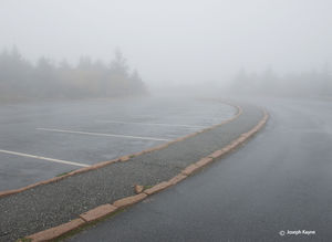 Foggy Parking Lot