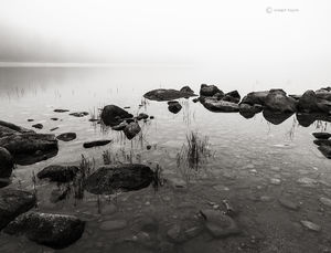 A Maine Pond