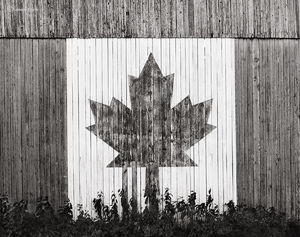 Oh Canada