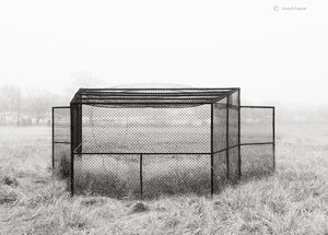 Field Of Dreams