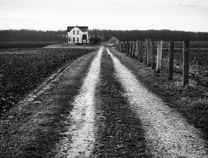 Forgotten Homestead