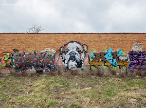 Bull Dog Graffiti