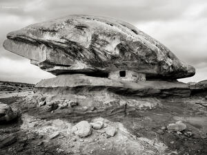 Lone Granary