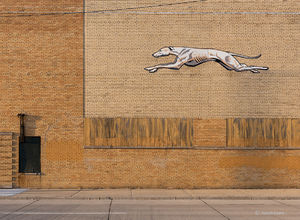 The Greyhound