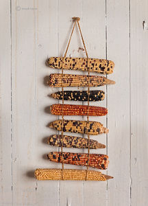 Hanging Corn