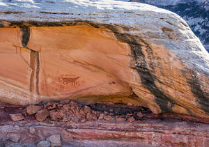 The Bear In The Canyon