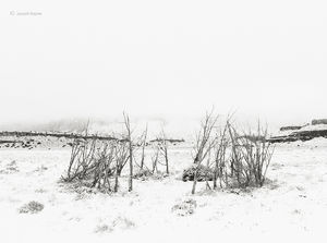 Old Navajo Ceremonial House