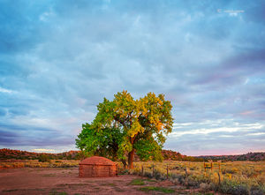 Last Day's Light On A Navajo Hogan