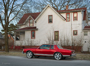 Candy Apple Caprice