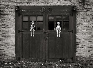 Skeleton Twins