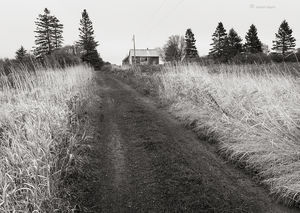 Road To The Barn