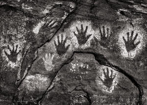 The Hand Panel