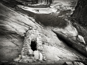 Pine Cone Ruin II