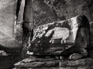 The Bear Petroglyph
