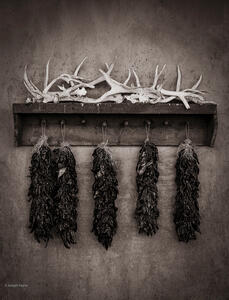Ristras & Bones