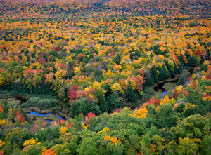 The Meandering Carp River