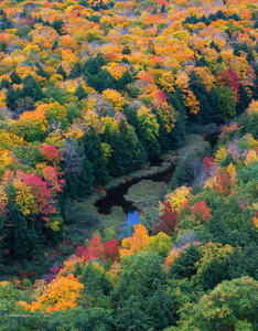 The Carp River