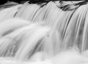 Poetry In Motion II