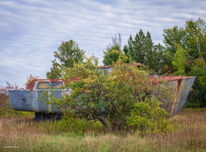Abandoned Ship & Apple Tree