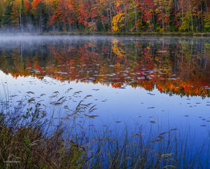 Dawn At A Northwoods Lake