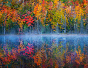 Autumn Lake