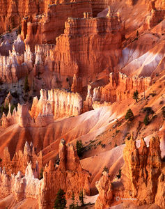 Hoodoos At Dawn
