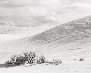 Snow Mounds & Sage Brush