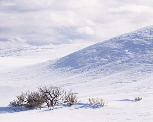 Snow Mounds & Sage Brush