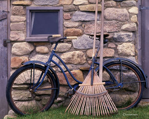 Old Bicycle & Rake