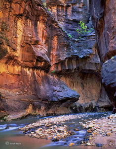 The Narrows Of The Virgin River