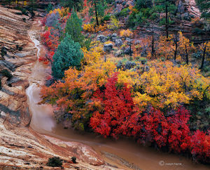Canyon Rainbow