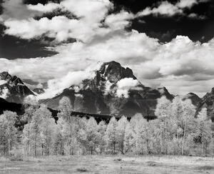 Mount Moran & Fall Aspen