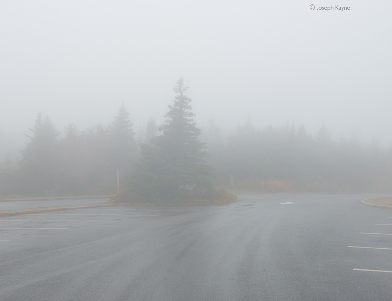 Foggy Morning On Top Of Cadillac Mountain