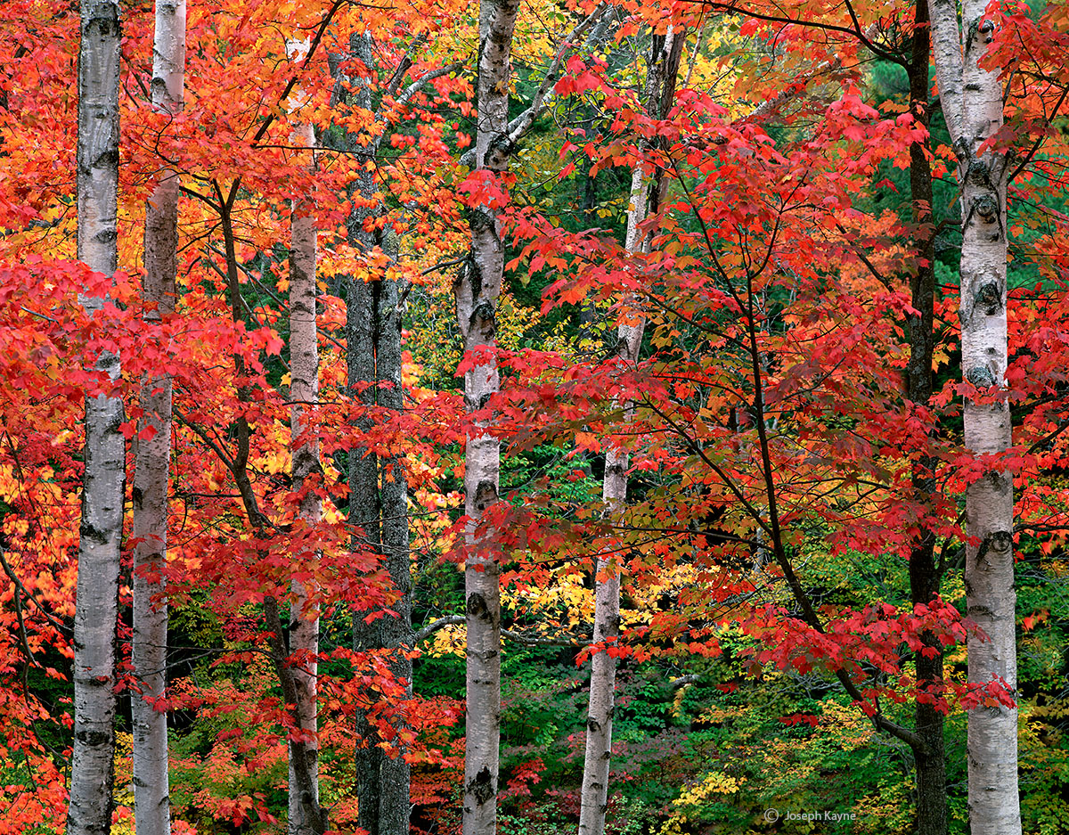New England, Autumn
