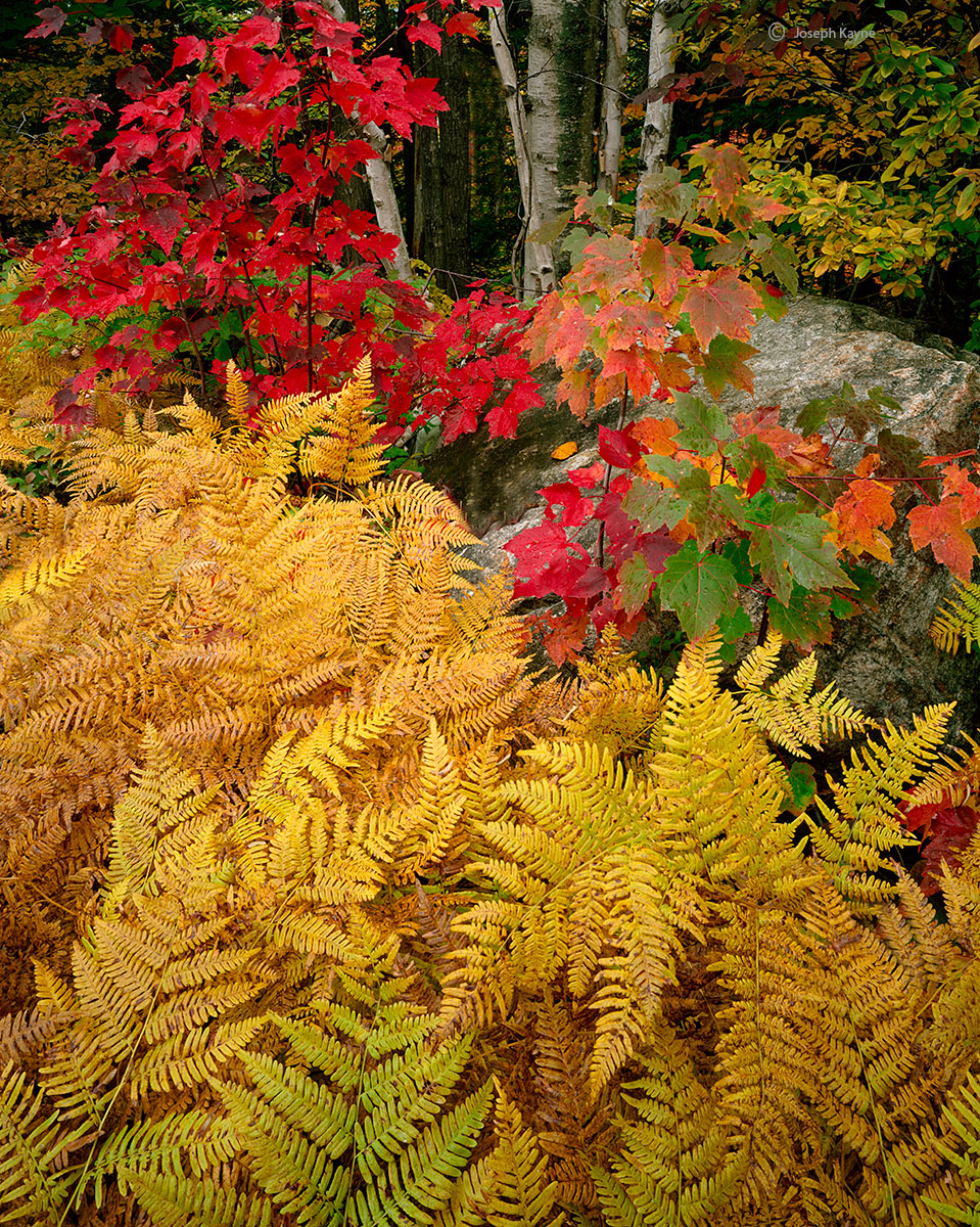 New England, Autumn