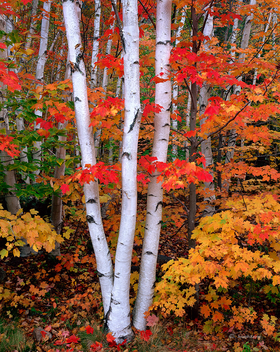 New Hampshire, Autumn