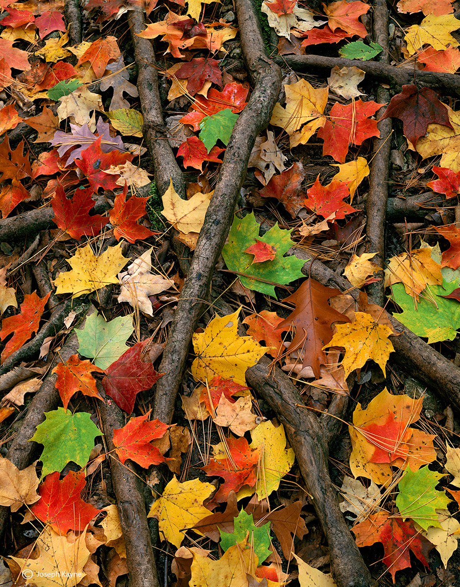 Autumn, Illinois