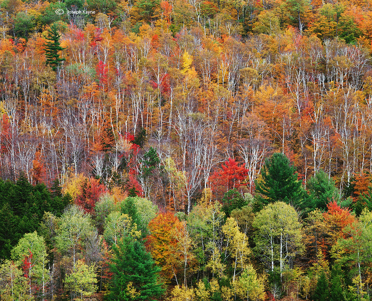 New England, Autmn