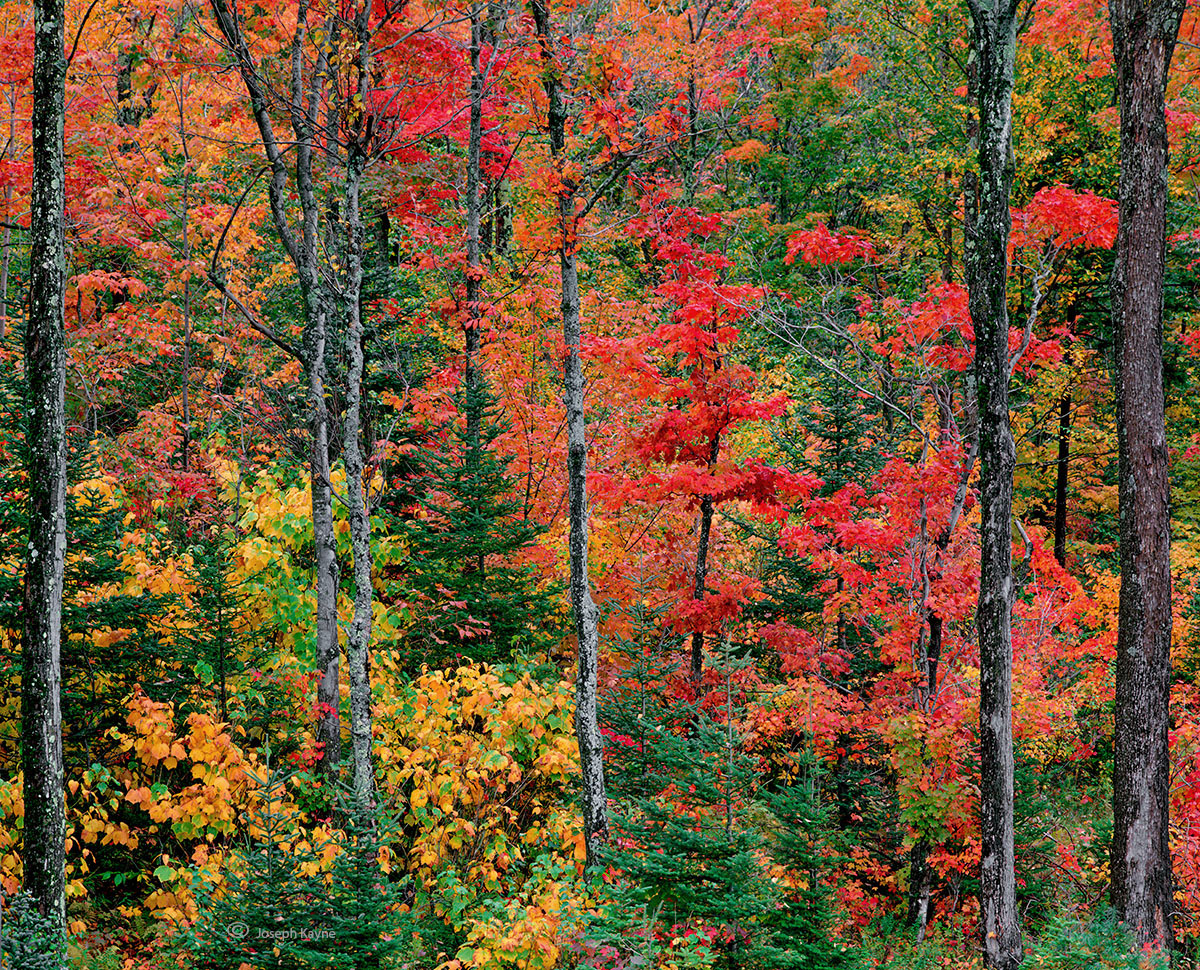 New England, Autumn