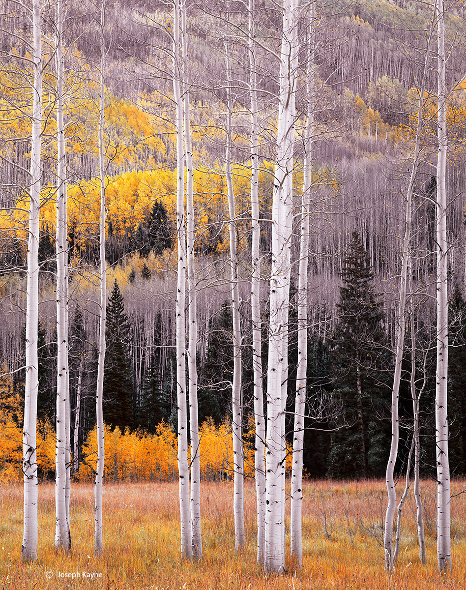 Atumn, Colorado &nbsp;